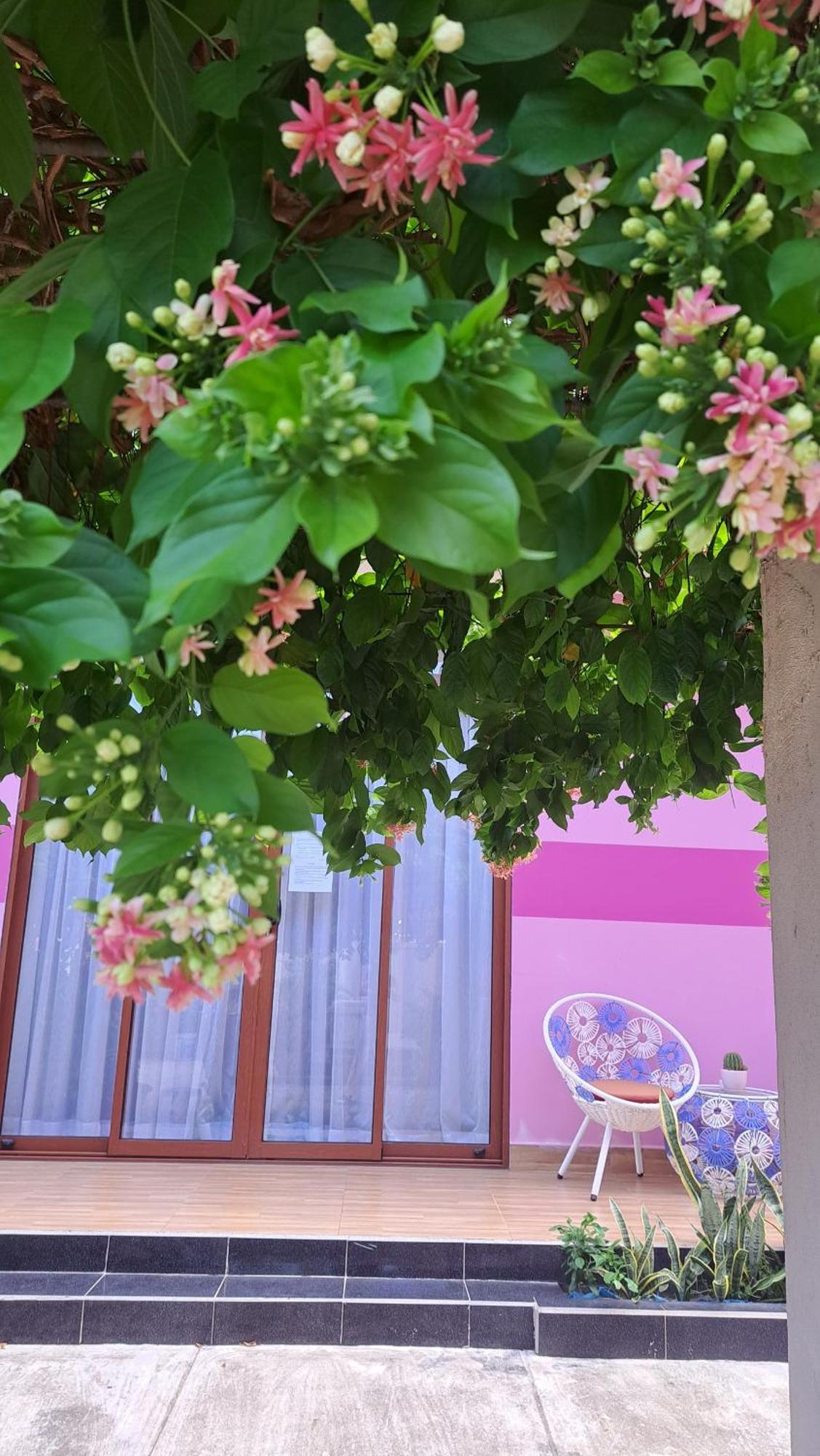 Pink House Homestay Hội An Extérieur photo