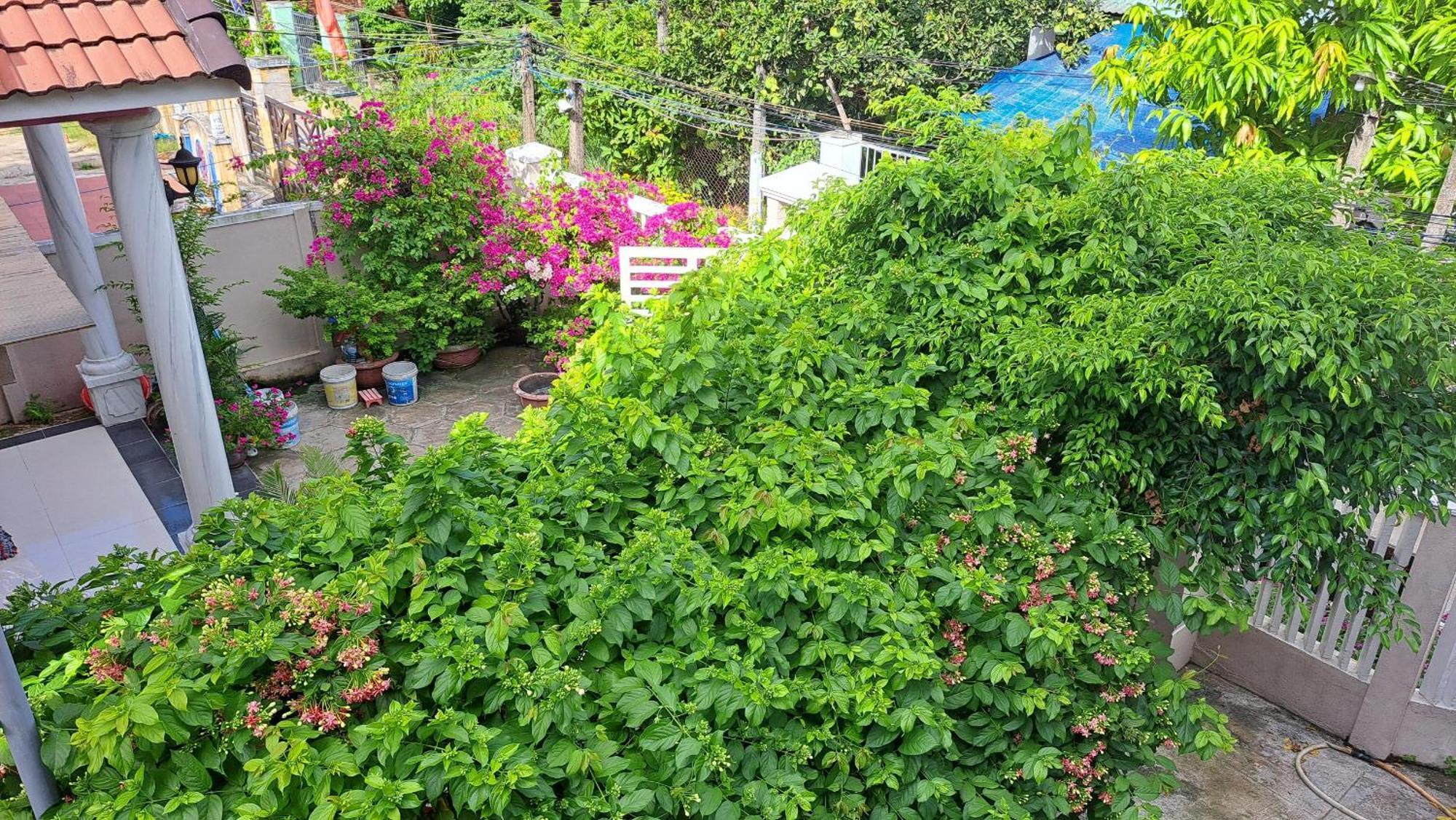 Pink House Homestay Hội An Extérieur photo