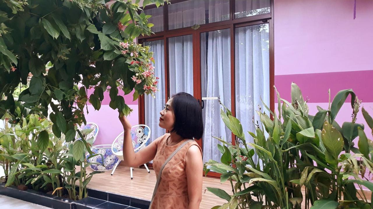 Pink House Homestay Hội An Extérieur photo